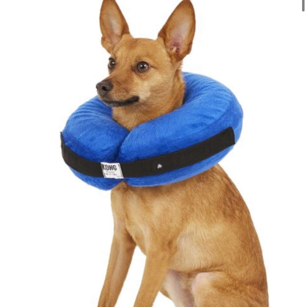 KONG Cloud Collar for Dogs - Size Medium